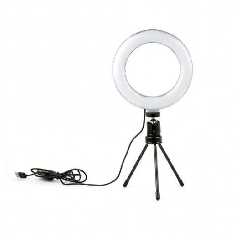 Ring Fill Light 6"